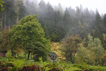 SREČANJE KOROŠKIH PLANINCEV