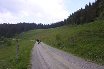 OČIŠČEVALNA AKCIJA NA NAŠIH PLANINSKIH POTEH