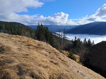 25. POHOD STANKA STOPORKA NA ČRNI VRH