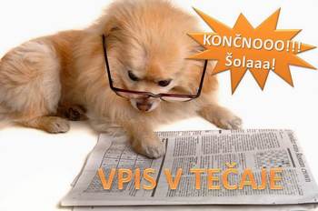 Vpis v tečaje šolanja psov