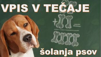 VPIS V TEČAJE ŠOLANJA PSOV