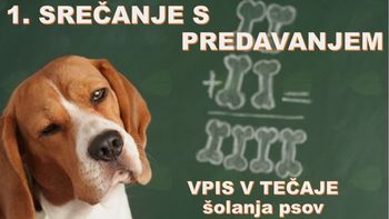 1. SREČANJE TEČAJNIKOV S PREDAVANJEM IN VPIS V TEČAJE ŠOLANJA PSOV