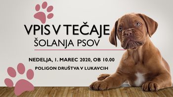 VPIS V TEČAJE ŠOLANJA PSOV