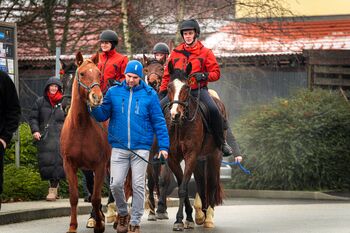 25. Blagoslov konjev v Križevcih