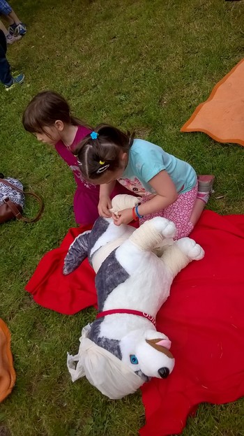 2. odprte vaje prve pomoči - rane in krvavitve