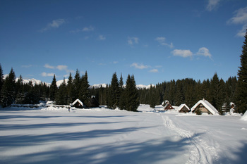 Planinski izlet na Uskovnico, Javorov vrh in Pokljuko 