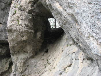 Planinski izlet na Stegovnik