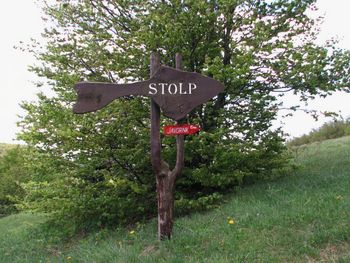 Javornik in Čelkov vrh