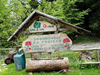 Planinski izlet – veterani Vodiška planina