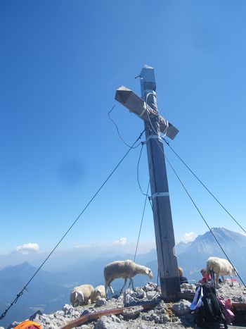 Planinski izlet na Storžič