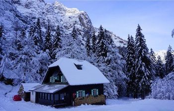 Planinski izlet v Krnico