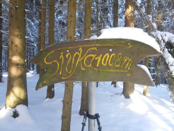 Planinski pohod na Sivko , Bevkov vrh in Ermanovec