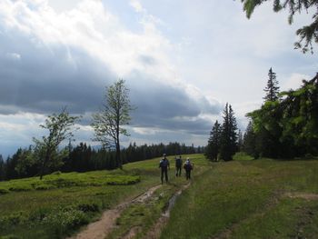 Planinski pohod po SPP od Koče Planinc na Pohorju do Raduhe