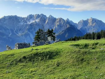 Planinski izlet veterani na Vošco