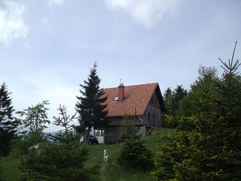 Planinski izlet na Travno Goro in Kamen grič 3.11.2021