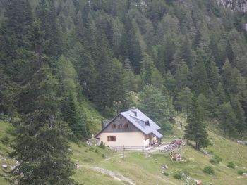 Planinski pohod od Valvasorjevega doma do Ljubelja 14.11.2021