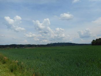 Planinski pohod po Slovenjegoriški poti 23.4.2022 - sprememba