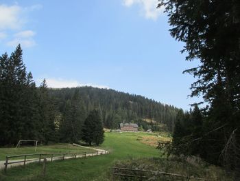 Planinski pohod  od Pake do Ljubnega ob Savinji 25. in 26.6.2022