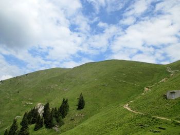 Planinski pohod na Golico 1.6.2022  veterani