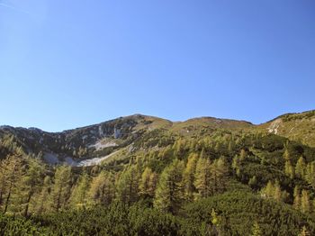 Planinski izlet na Vrtaško Sleme 3.7.2022