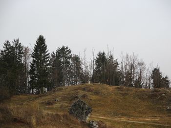 Planinski pohod Jelenk, Jagršče, Šebrelje 17.11.2024