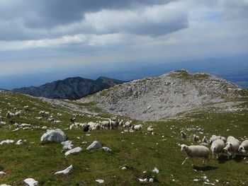 Planinski izlet na Kalški greben 22.6.2025