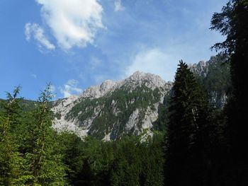 Planinski izlet na Storžič 20.7.2025