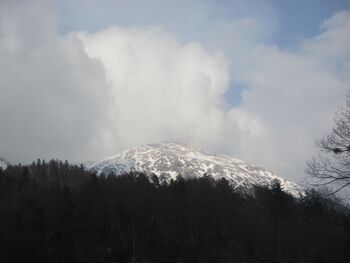 Planinski izlet na Stol 15.3.2026