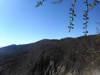 Planinski izlet Goteniški Snežnik 3.5.2026