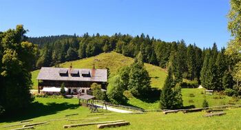 Planinski izlet – Vodiška planina 6.5.2026 veterani