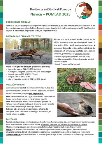 Društvo za zaščito živali Pomurja Novice -POMLAD 2025