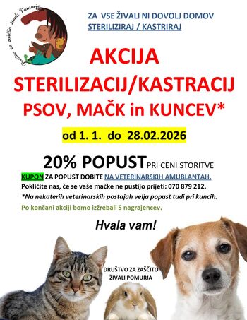 AKCIJA STERILIZACIJ/KASTRACIJ PSOV, MAČK in KUNCEV