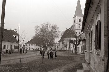 Če imate doma stare fotografije, ki prikazujejo življenje v vašem kraju v preteklosti, vas vabimo, da jih delite z muzejem Če imate doma stare fotografije, ki prikazujejo življenje v vašem kraju v preteklosti, vas vabimo, da jih delite z muzejem