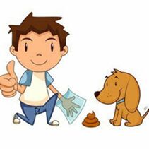 OBVESTILO  LASTNIKOM OZ. SPREHAJALCEM PSOV