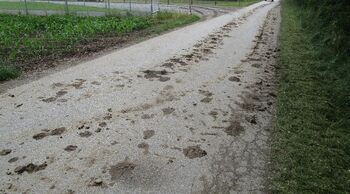 OBVESTILO O PREPOVEDI ONESNAŽEVANJA OBČINSKIH CEST IN ODVAJANJA METEORNE VODE 