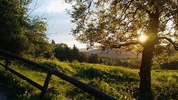 Odvoz kosovnih odpadkov