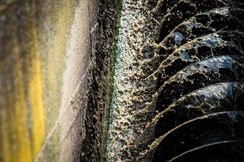 Rok za prijavo na natečaj "Življenje v kapljici vode" se zaključuje