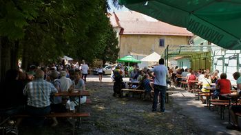 Grad Borl je oživel za en dan Grad Borl je oživel za en dan