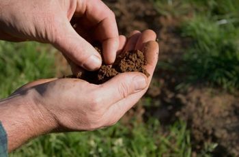 Iz cikla ZNANJE ZA ZDRAVJE: Analiza tal