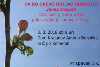 SAJENJE SADNEGA DREVJA