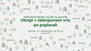 UKREPI V ZELENJAVNEM VRTU PO POPLAVAH