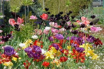 KONCERT UČITELJEV GLASBENE ŠOLE GORNJA RADGONA