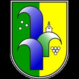 VABILO- Ureditev bazenskega kompleksa Radenci