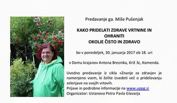 Kako pridelati zdrave vrtnine in ohraniti okolje čisto in zdravo