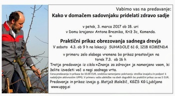 Praktični prikaz obrezovanja sadnega drevja