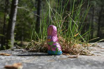 Srečanje mladine nad 80 in Velikonočni zajček