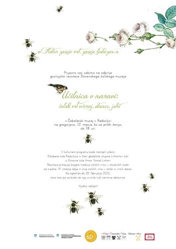 Razstava UČILNICA V NARAVI: ŠOLSKI VRT VČERAJ, DANES, JUTRI