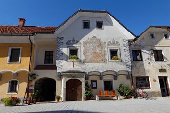 Mlada ilustracija 2020, spletna razstava