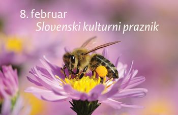 8. februar v Muzejih radovljiške občine