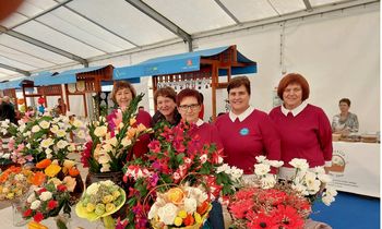 Cvetoča jesen v Snoviku Cvetoča jesen v Snoviku